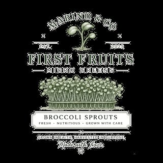 Marino and Co First Fruits Micro Greens broccoli sprouts logo with established date